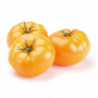TOMATE COTELEE ANANAS POPULATION SERRES NON CHAUFEES