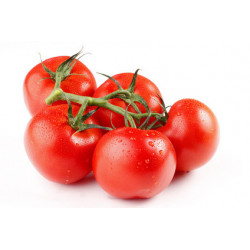 TOMATE GRAPPE SERRES NON...