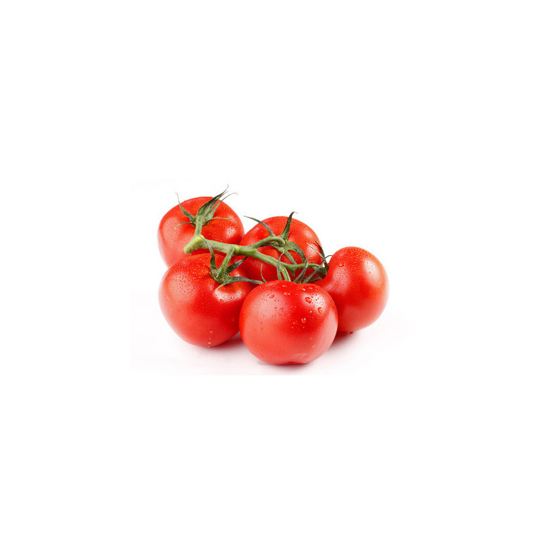 TOMATE GRAPPE SERRES NON CHAUFFEES