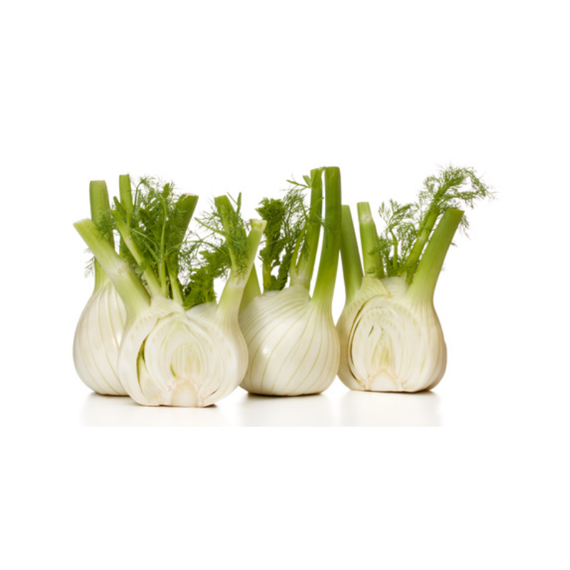 FENOUIL PRINCE DE BRETAGNE®