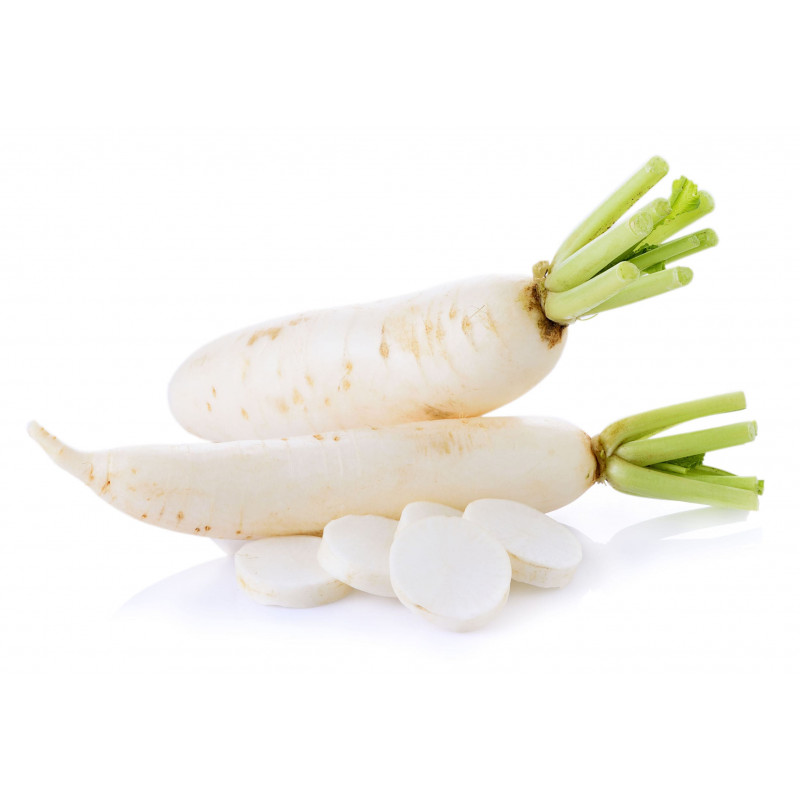 RADIS BLANC LONG DAIKON PRINCE DE BRETAGNE®