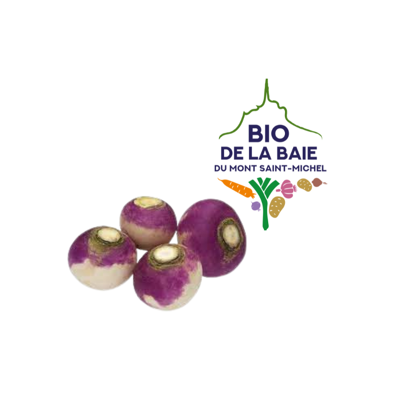 NAVET ROND VIOLET BIO DE LA BAIE DU MONT SAINT MICHEL®