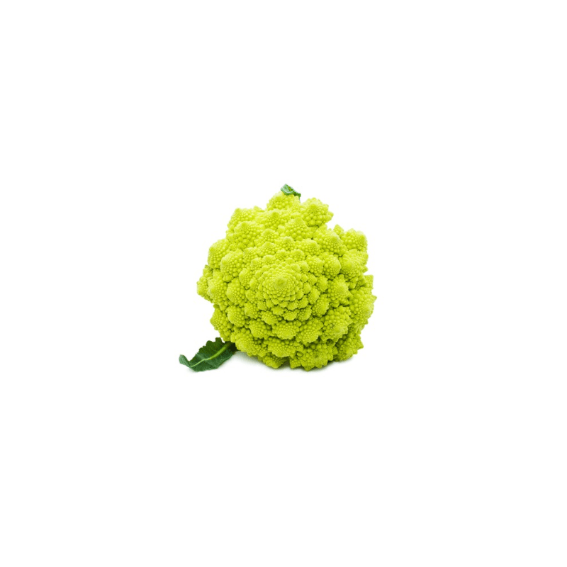 CHOU ROMANESCO CALIBRE MOYEN PRINCE DE BRETAGNE®