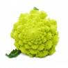 CHOU ROMANESCO CALIBRE MOYEN PRINCE DE BRETAGNE®