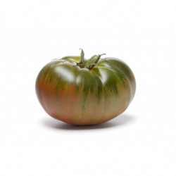 TOMATE COTELEE NOIRE...