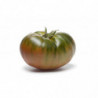 TOMATE COTELEE NOIRE HYBRIDE SERRES NON CHAUFFEES