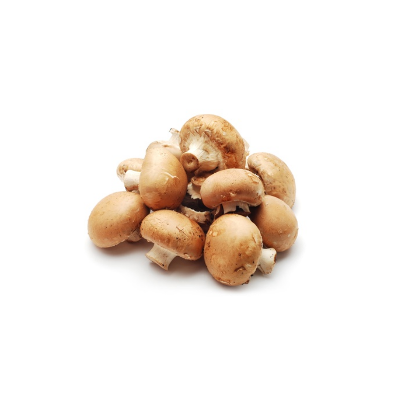 CHAMPIGNON DE PARIS BRUN DE COUCHE PIED COUPE BARQUETTE 200GR