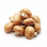 CHAMPIGNON DE PARIS BRUN DE COUCHE PIED COUPE BARQUETTE 200GR