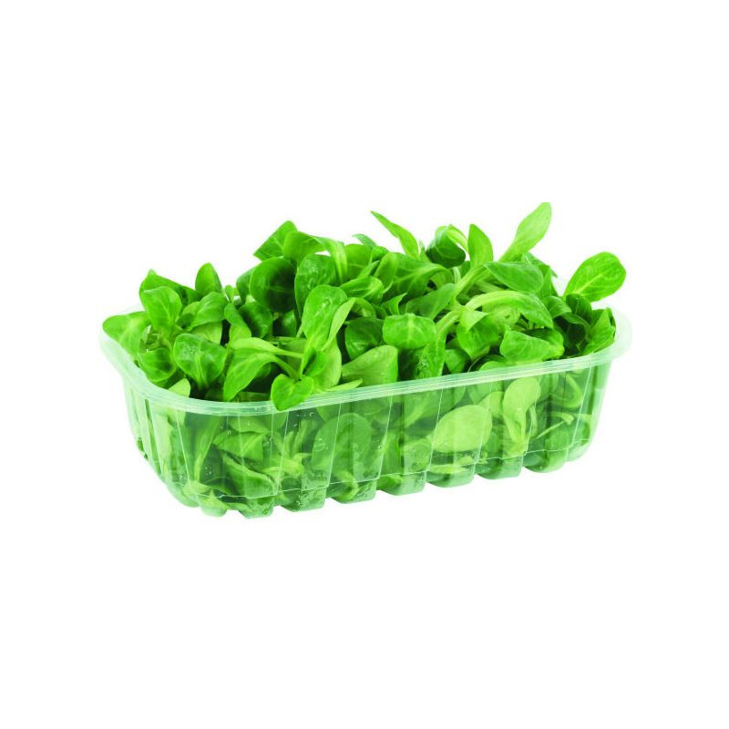 SALADE MACHE BARQUETTE 100GR MARAICHERS BIO DE BRETAGNE®