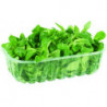 SALADE MACHE BARQUETTE 100GR MARAICHERS BIO DE BRETAGNE®