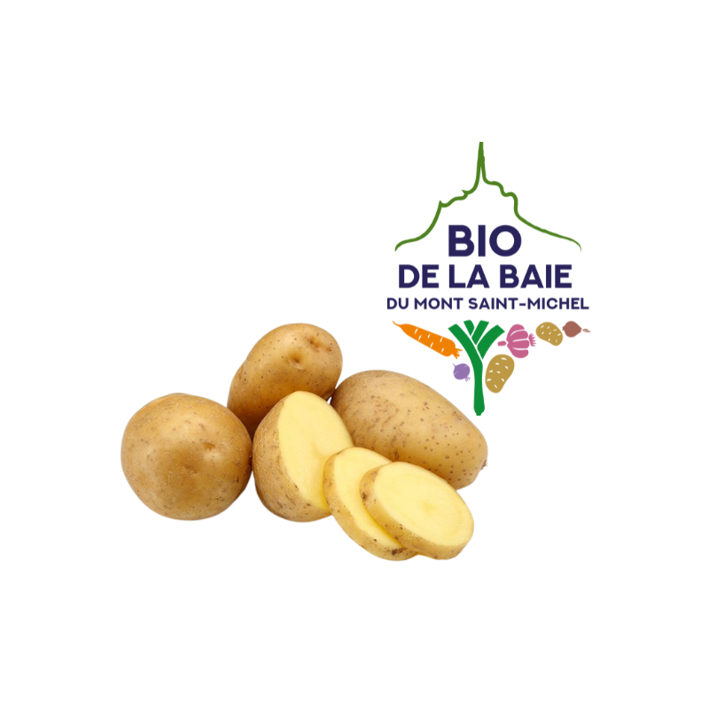 POMME DE TERRE DE CONCOMMATION MAIWEN CALIBRE 35+ BIO DE LA BAIE®