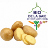 POMME DE TERRE DE CONCOMMATION MAIWEN CALIBRE 35+ BIO DE LA BAIE®