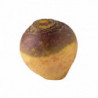RUTABAGA