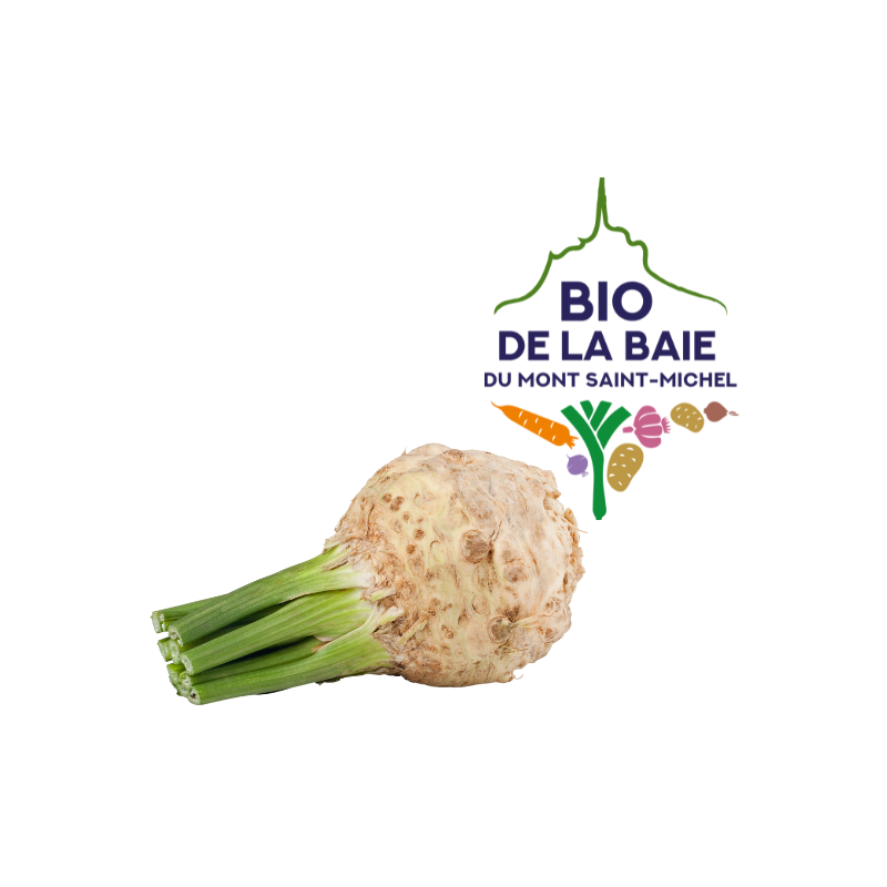 CELERI RAVE BIO DE LA BAIE DU MONT SAINT MICHEL®