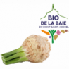 CELERI RAVE BIO DE LA BAIE DU MONT SAINT MICHEL®