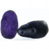 POMME DE TERRE DE CONSOMMATION BLEUE GAIANE CAL 35+ BIO DE LA BAIE®
