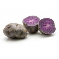 POMME DE TERRE DE CONSOMMATION BLEUE GAIANE CAL 35+ BIO DE LA BAIE®
