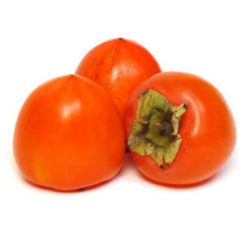 KAKI ROJO BRILLANTE cal 18/20