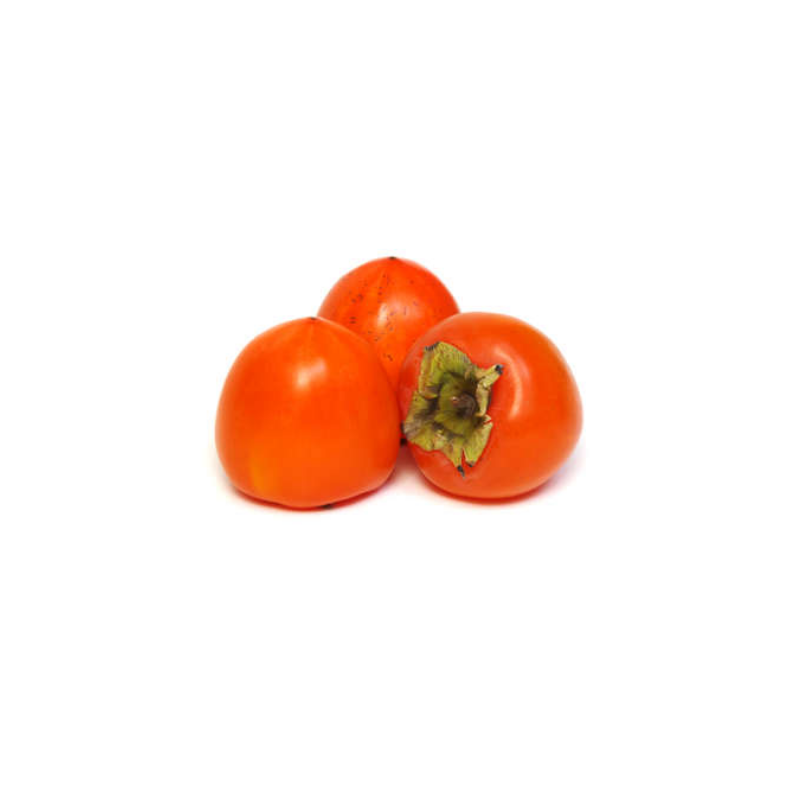 KAKI ROJO BRILLANTE cal 18/20