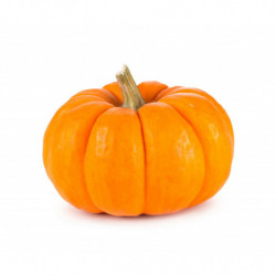 COURGE JACK BE LITTLE