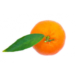 CLEMENTINE COMMUNE APIRENE...