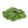 EPINARD FEUILLE MARAICHERS BIO DE BRETAGNE®