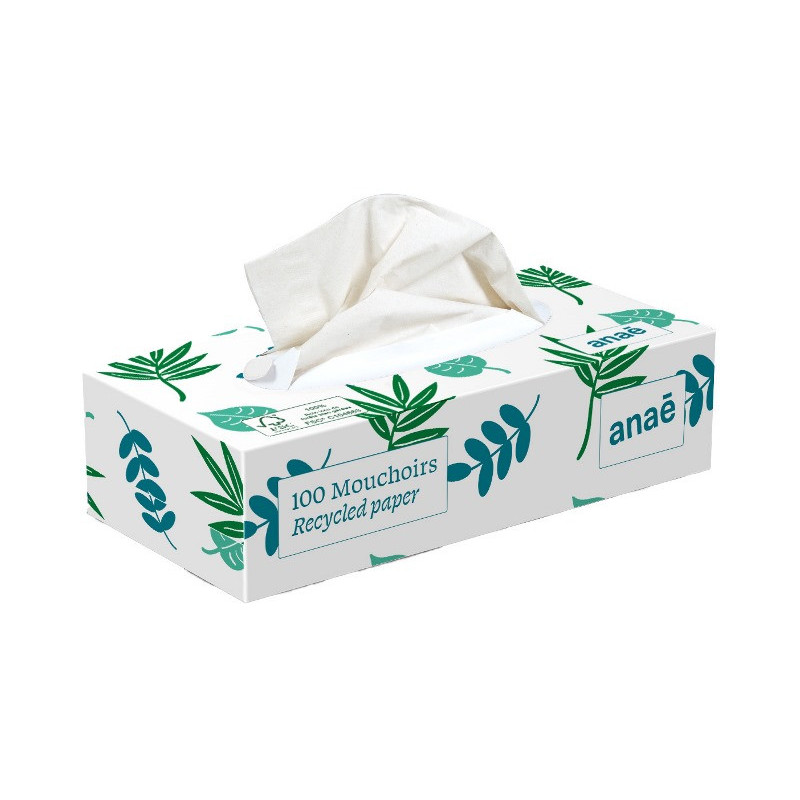 Boîte de mouchoirs fibres recyclées x100