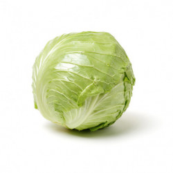 CHOU BLANC LISSE PRINCE DE BRETAGNE®