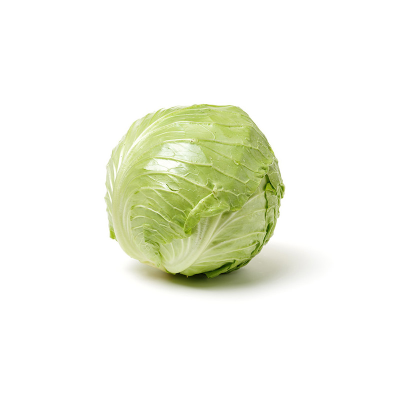 CHOU BLANC LISSE PRINCE DE BRETAGNE®