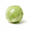 CHOU BLANC LISSE PRINCE DE BRETAGNE®