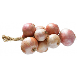 OIGNON ROSE TRESSE 1KG LA...