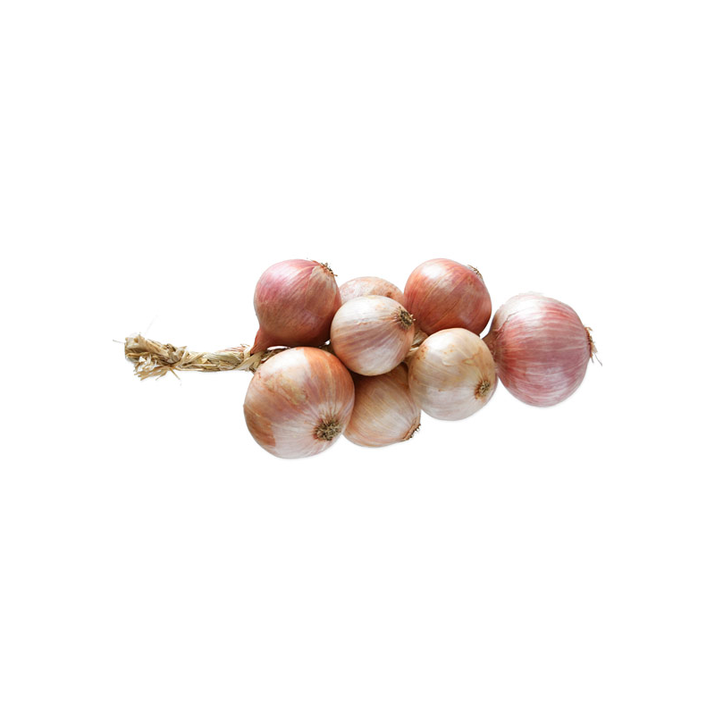 OIGNON ROSE TRESSE 1KG LA PIECE