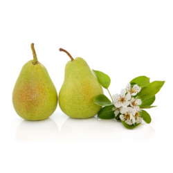 POIRE XENIA CAL 65/70