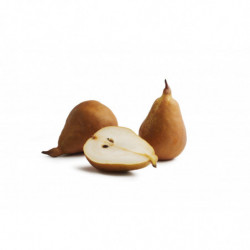 POIRE ELLIOT CAL 55+