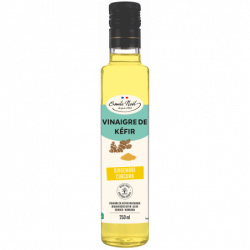Vinaigre de kéfir gingembre...