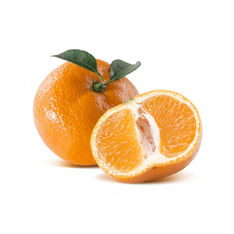MANDARINE A FEUILLE CORSE VARIETE CIACULI