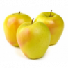 POMME GOLDRUSH DELISDOR® variété COOP38 DEMETER cov cal 115+ Coteaux Nantais
