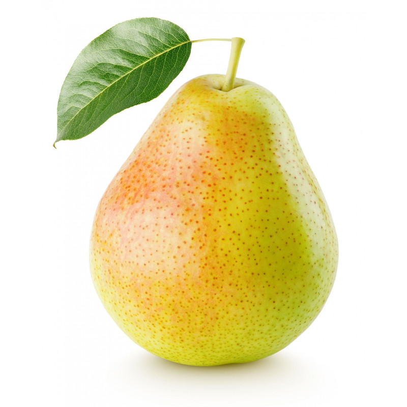 POIRE XENIA CAL 75/80