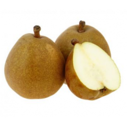 POIRE ANGELYS CAL 50/55