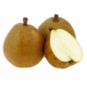 POIRE ANGELYS CAL 50/55