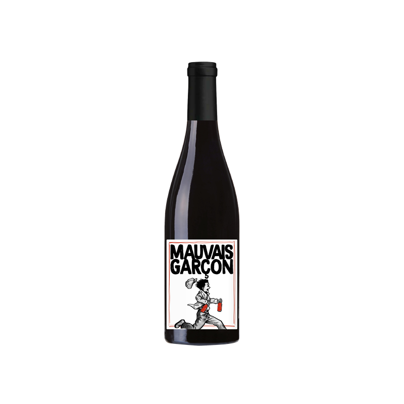 Vin rouge Vin de France Mauvais garçon" 75cl"