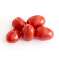 TOMATE CERISE ALLONGEE...