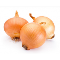 OIGNON JAUNE cal 60/80