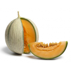 MELON CHARENTAIS 700GR ENVIRON