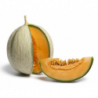 MELON CHARENTAIS 700GR ENVIRON