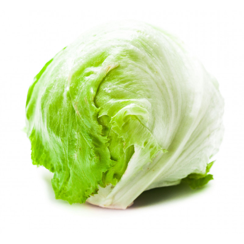 SALADE ICEBERG PLEIN CHAMP PRINCE DE BRETAGNE®