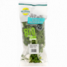 HERBES AROMATIQUES SACHET PERSIL FRISE 50GR