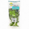 HERBES AROMATIQUES SACHET CORIANDRE 30GR
