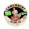 Camembert de Normandie au lait cru 250g