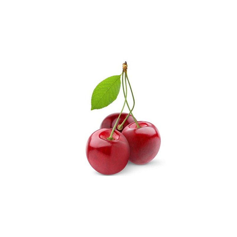 CERISE ROUGE CHAIR FERME cal 22+ VARIETE GARNET